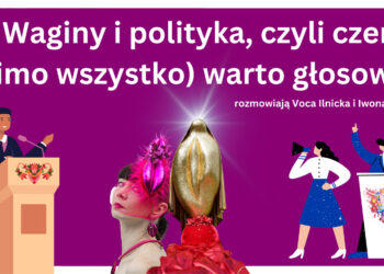 Waginy i polityka, czyli dlaczego (mimo wszystko) głosować
